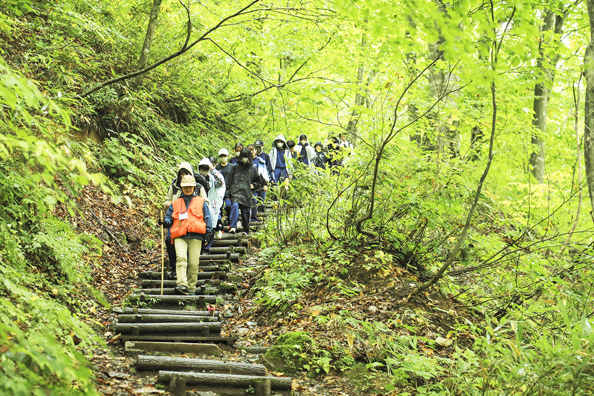 白神山地での実地踏査の様子