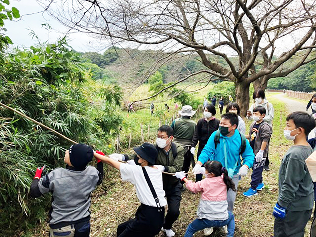 ボランティア活動「ツル取りボランティア」の様子