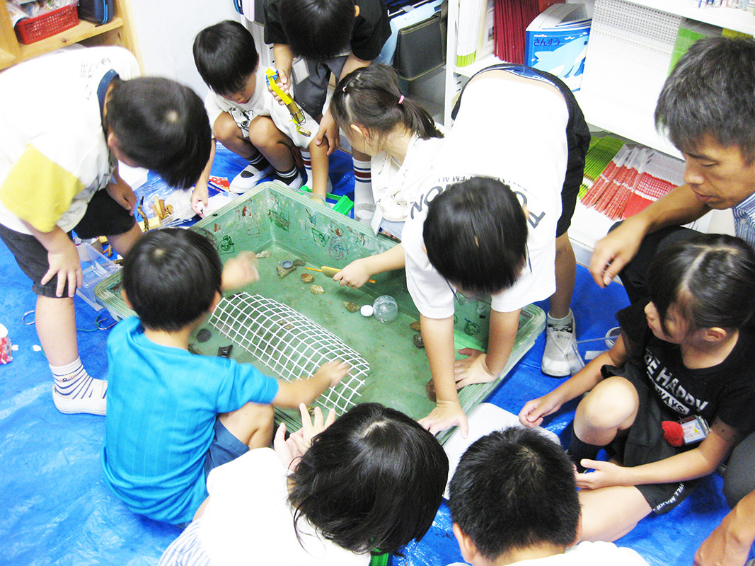 生き物のすみかを友達と話し合ってつくる